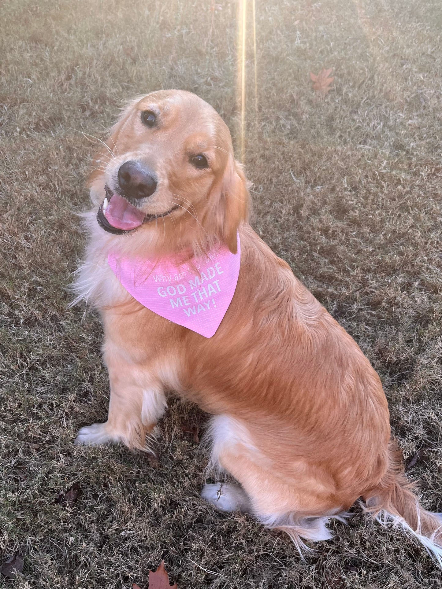 Dog Bandanas