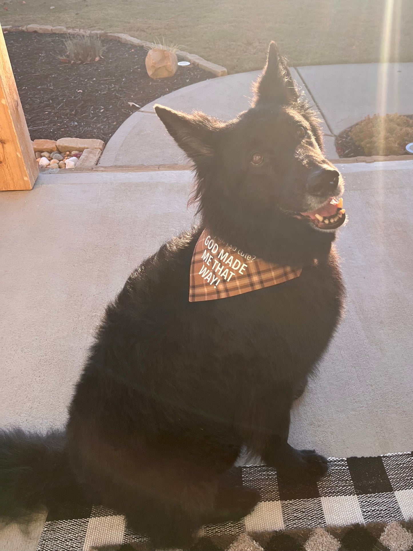 Dog Bandanas