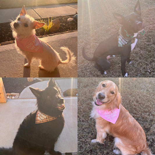 Dog Bandanas